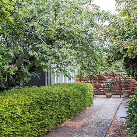 Silk Tree Studio - Steps To Cook Park Orange Exterior foto